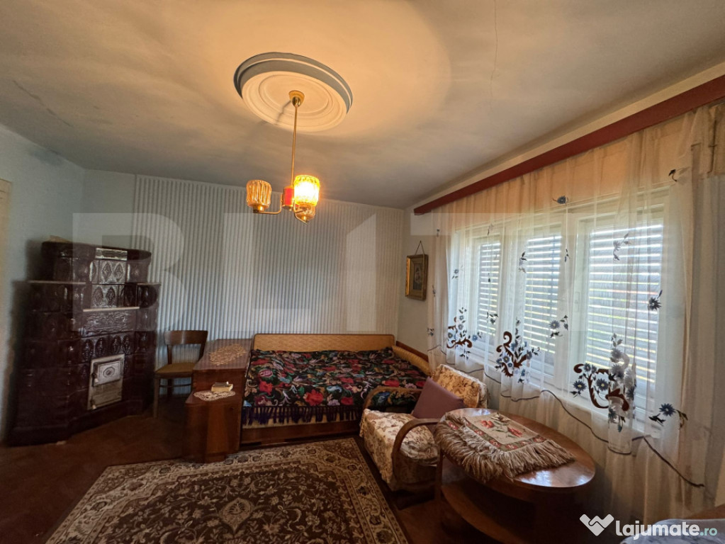 Casă în Băcia – teren generos 6.557 mp, ideal pentru in