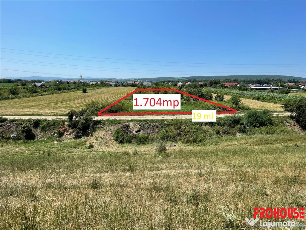Hemeiusi - zona Parcului Dendrologic - 1.704mp