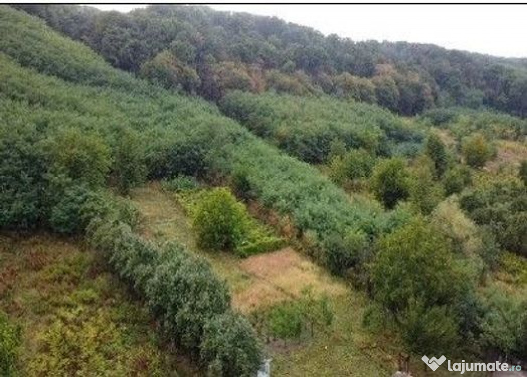 Teren Duta-Epureni, ID: R2757048
