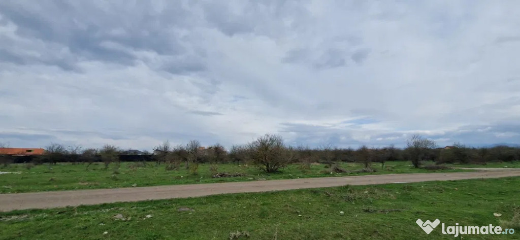 Teren Intravilan 800 mp Sanpetru