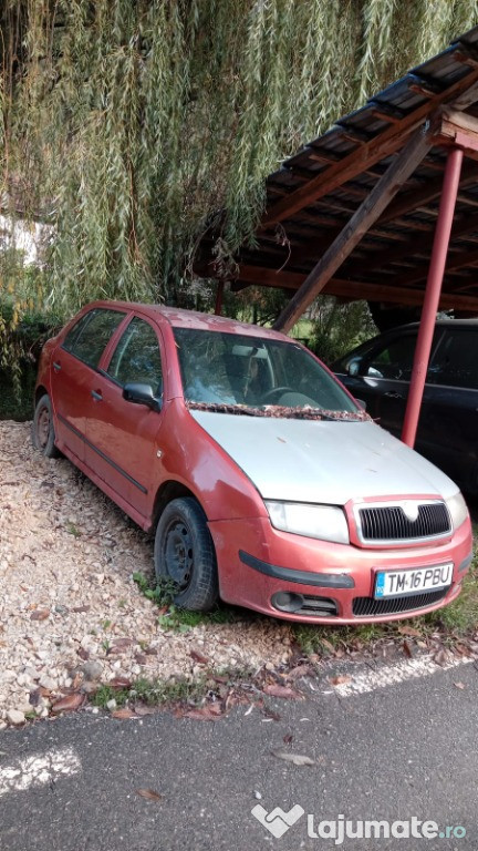 Skoda Fabia 2 Benzina