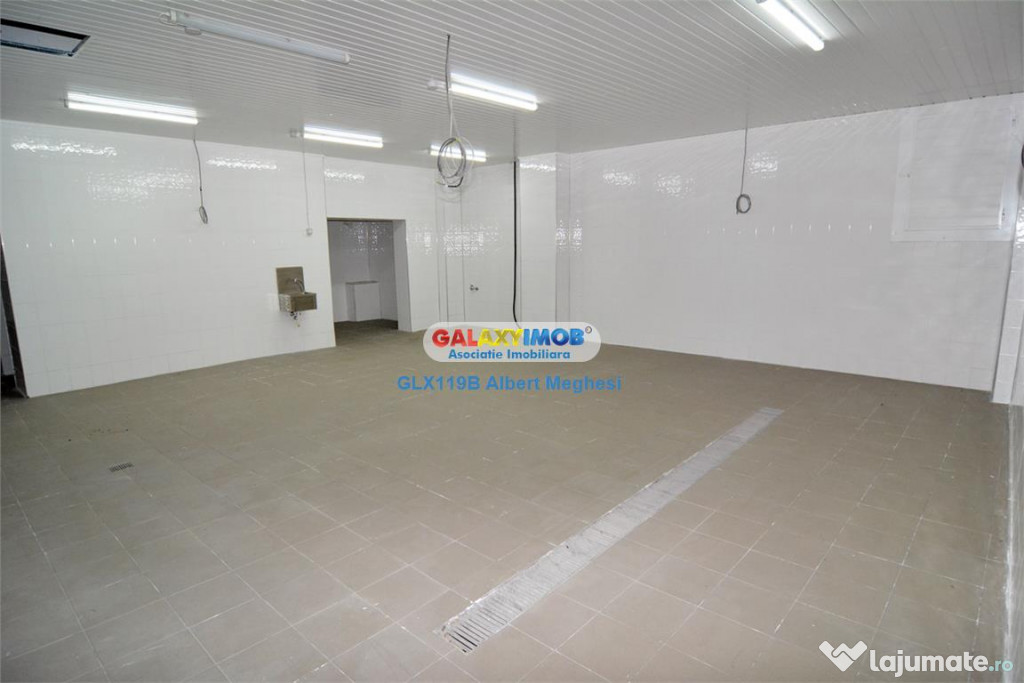 / spatiu productie alimentara P-ta Delfinului