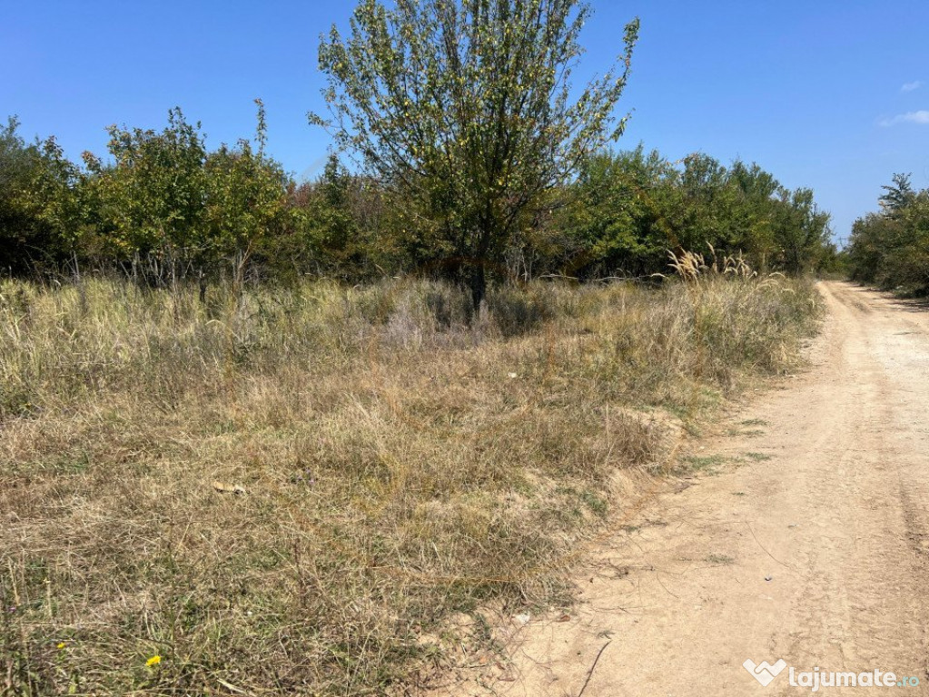Teren intravilan 5744 mp Mosoaia-Prunilor