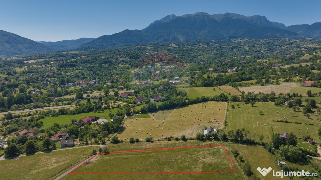 Teren Bran -Sohodol, Strada La mesteceni, 6900mp