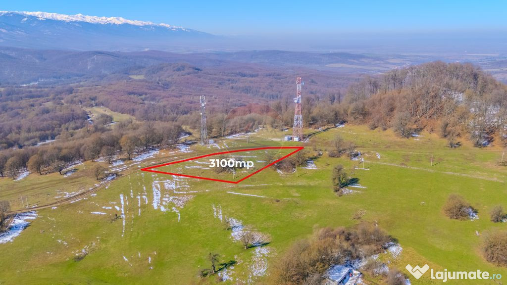 COMISION 0% Teren 3,100mp /Intravilan/ Dumbrăvița