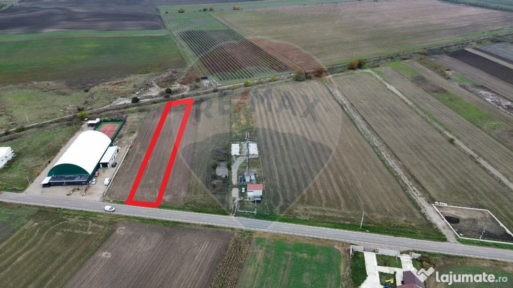 Teren 1,800mp Mircestii Vechi / DJ 204E