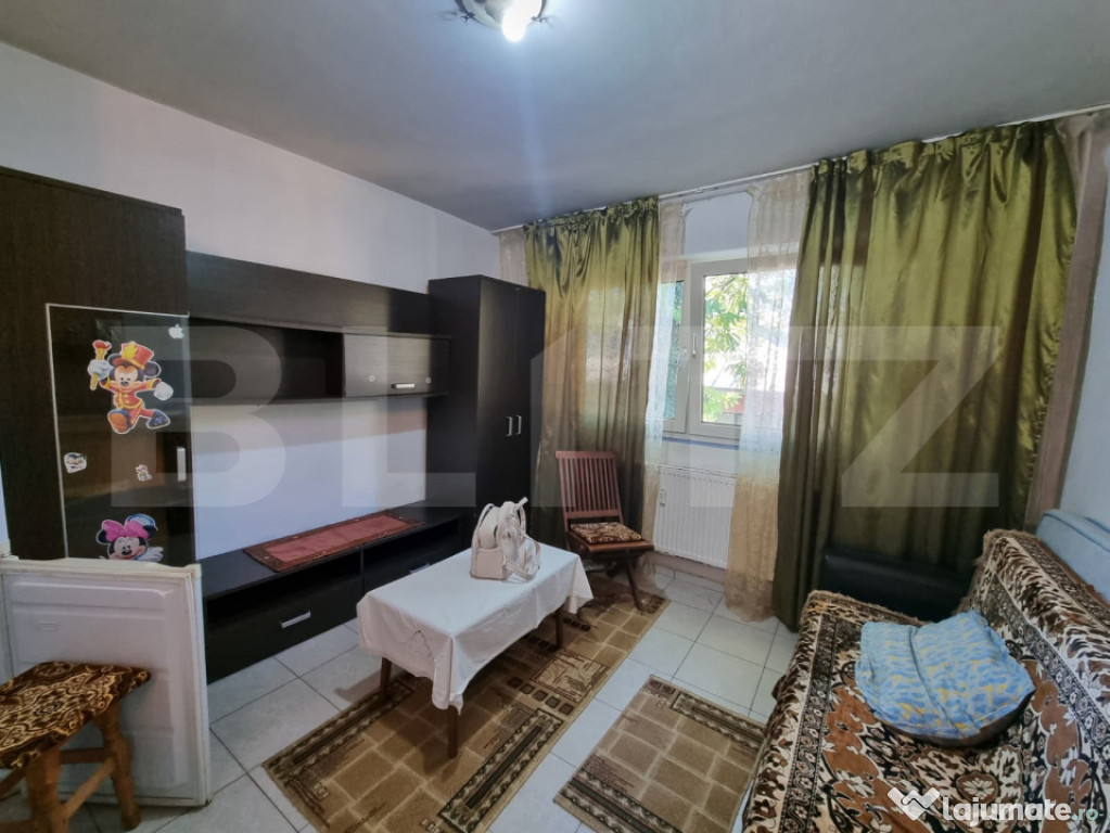 Garsoniera, 15mp, baie proprie, Pacurari