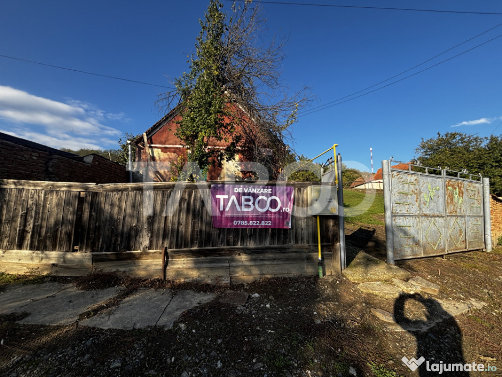 Exclusivitate comision 0% casa cu anexe si teren 3700 mp Ala