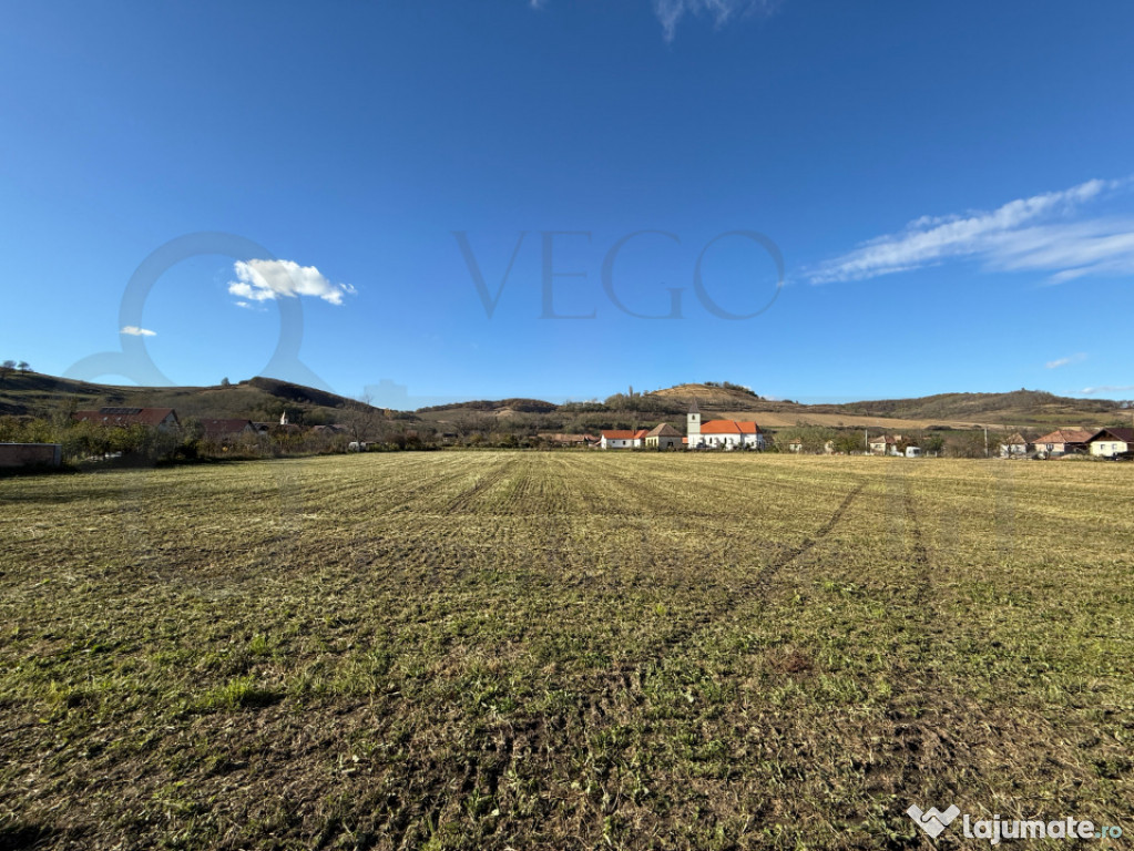 Teren intravilan de vânzare în Alma jud. Sibiu – 7.342 m