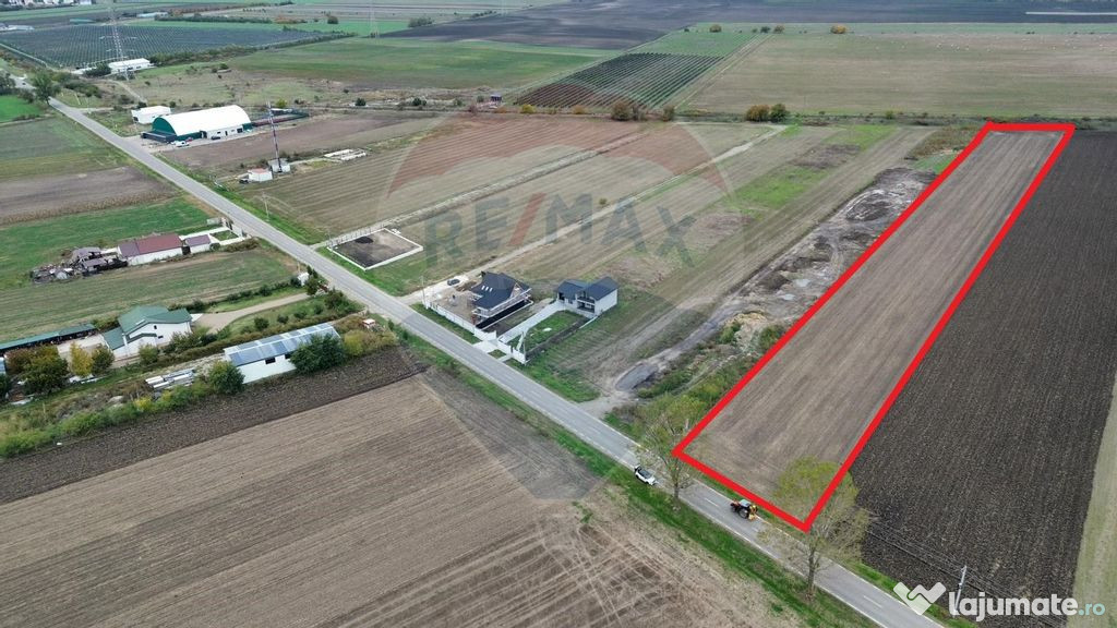 Teren intravilan 10,869mp Mircestii Vechi / DJ 204E