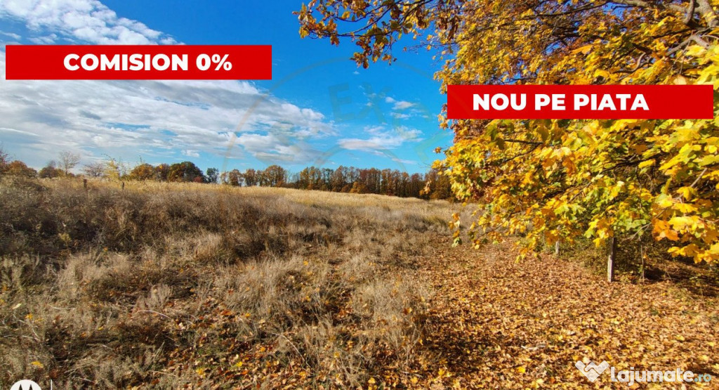 Terenuri intrevilane Comuna Mosoaia