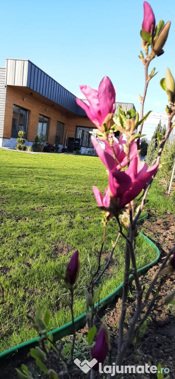 Casa noua parter Malu Mare, Dolj