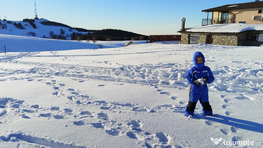 Comenzi volan vw audi