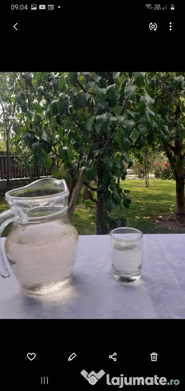 țuică de prune din livadă proprie fiartă