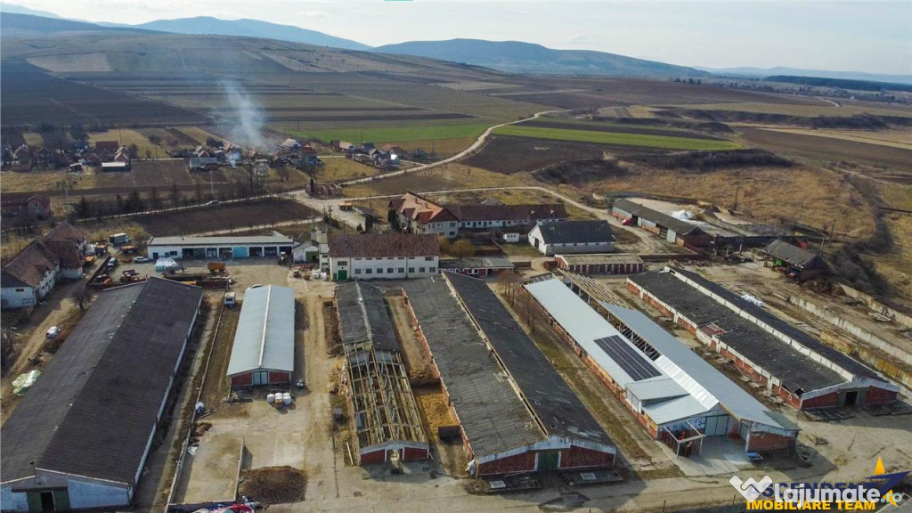 FILM! Complex agrozootehnic cu traditie, echipat pretios p