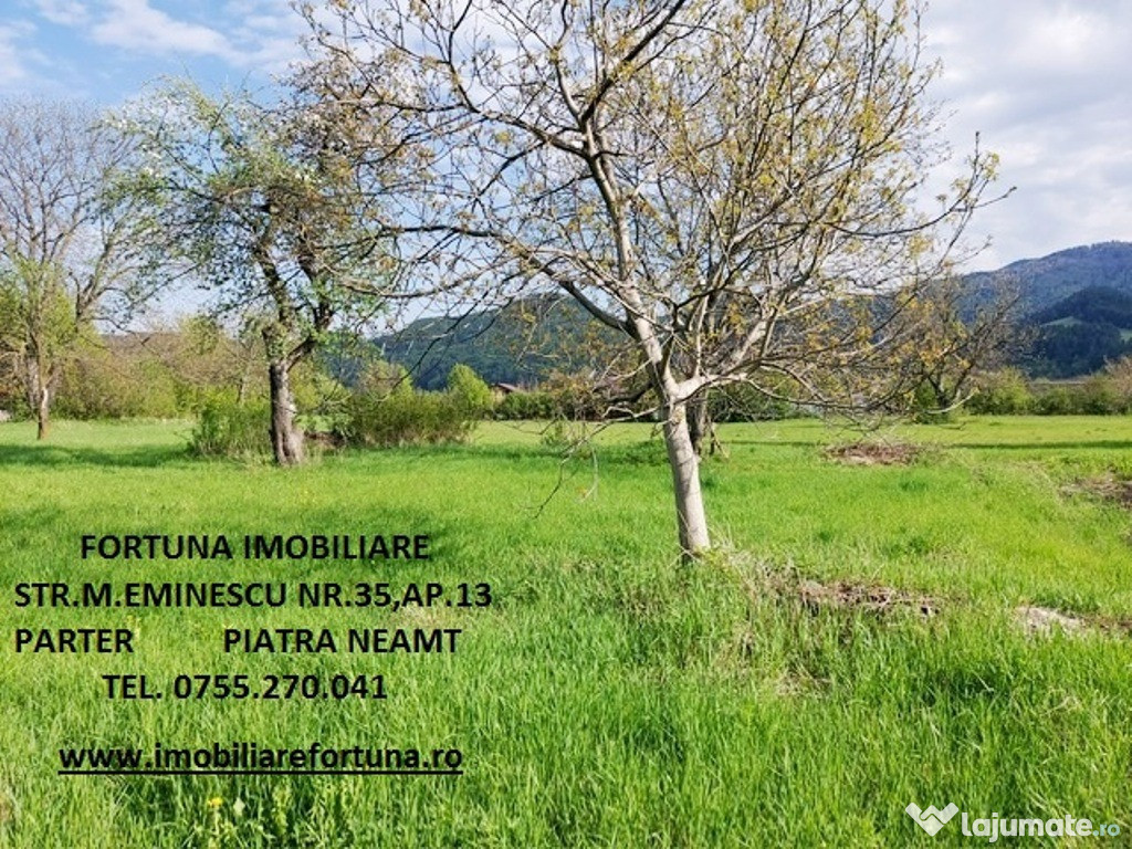 Teren intravilan 1480 mp, Alexandru cel Bun