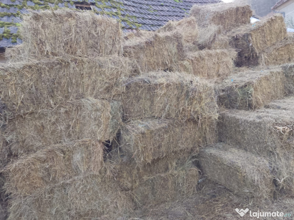 Baloti fân de gradina