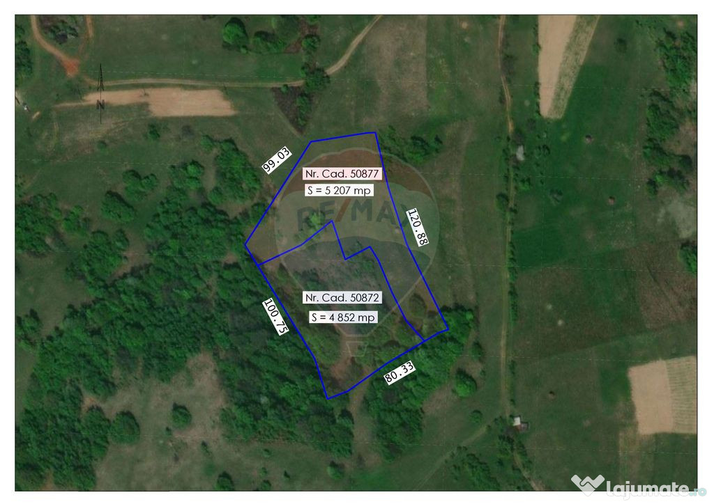 Oportunitate turistică în comuna Roșia 10.059 mp teren