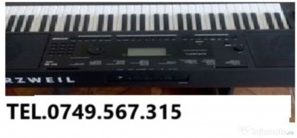 Orga cu acompaniament