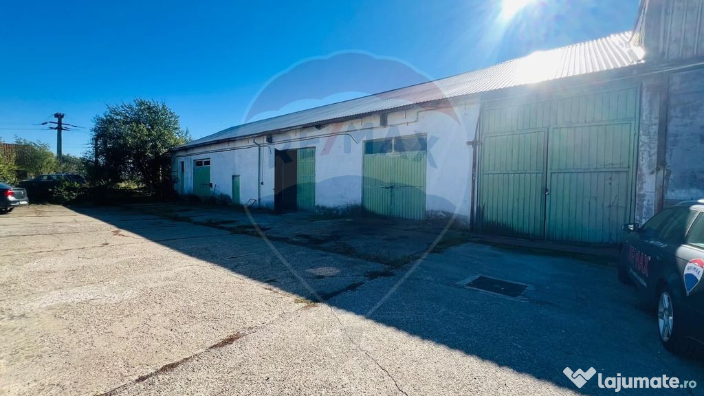 Spațiu industrial depozit/producție