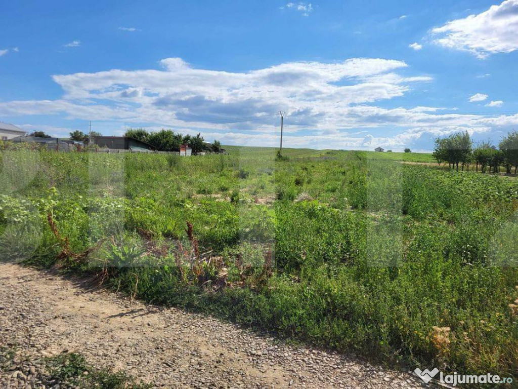 Teren Intravilan Curtesti 7500mp