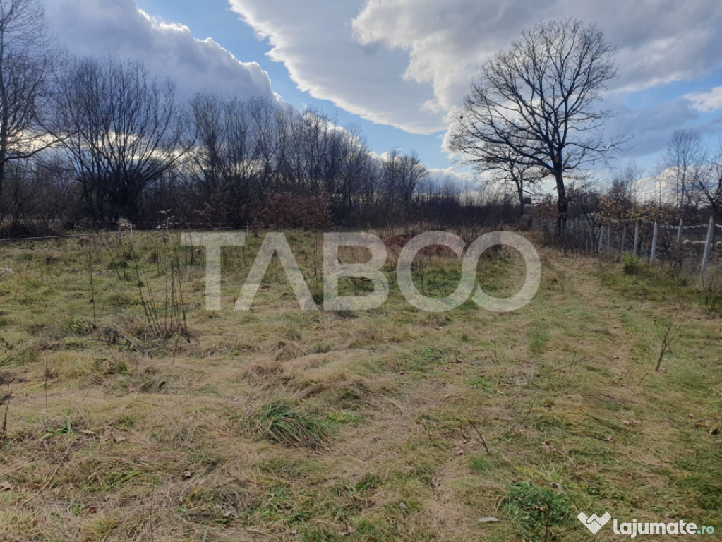 Comision 0 % Teren intravilan 2 cai de acces 3100 mp Savastr
