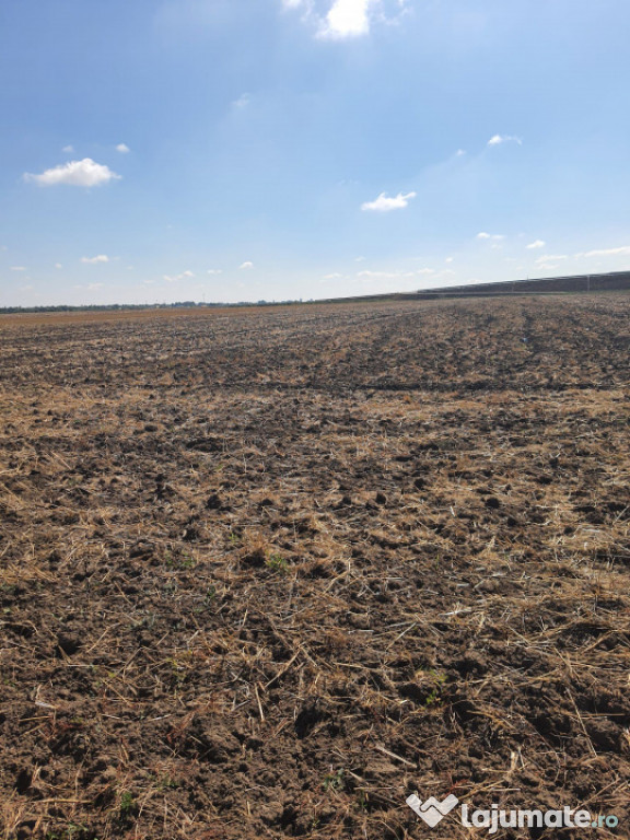 TEREN EXTRAVILAN 7.802 mp –DOMNESTI, ILFOV