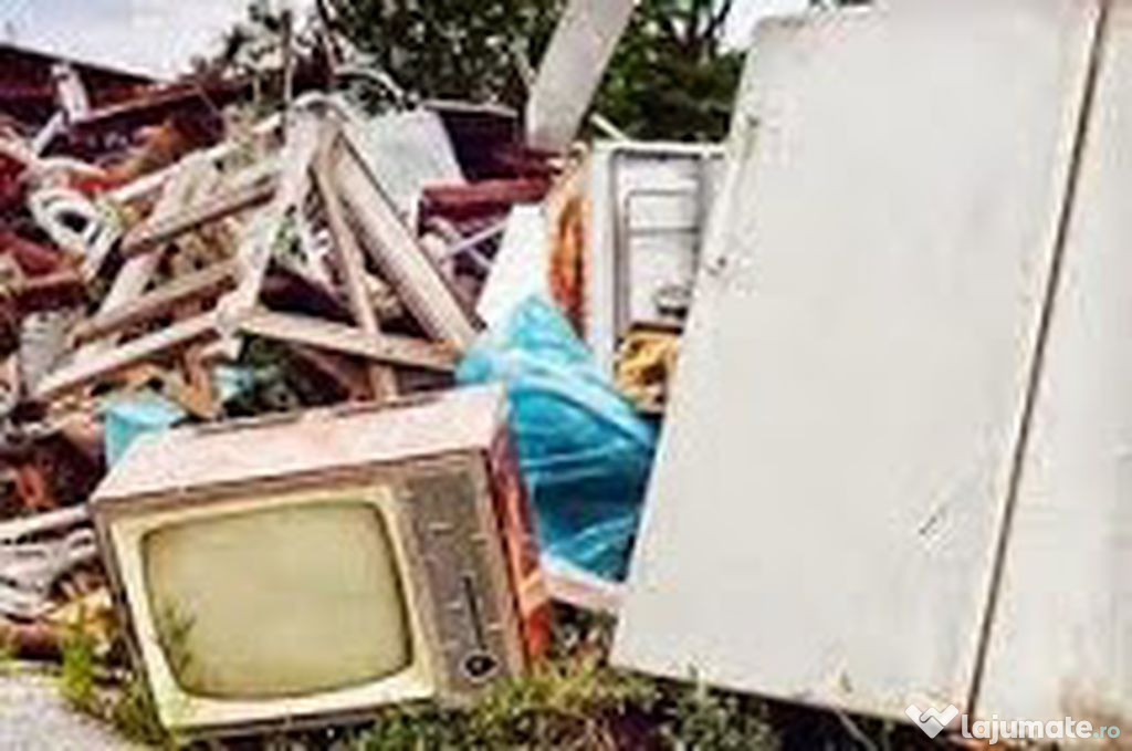 Facem curetenie in gradini case diverse gunoaie de luat in Galati