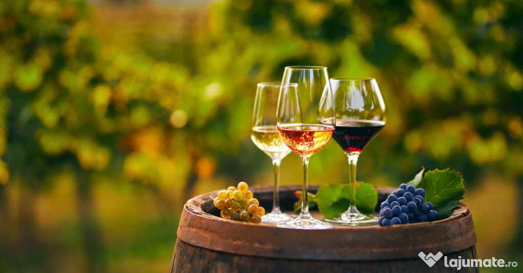 Vin Alb/Rose/Rosu-Excelent