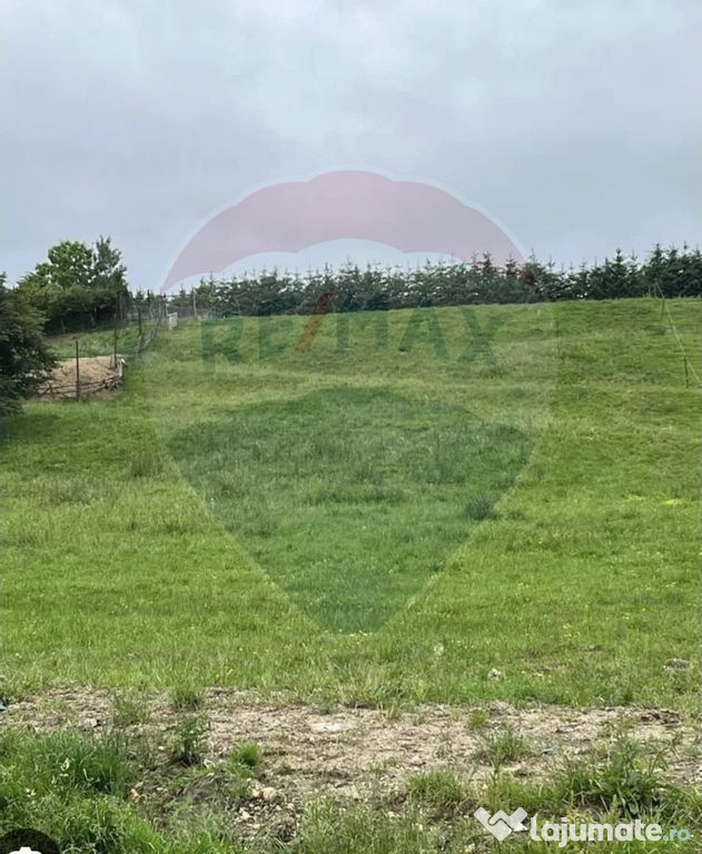 Pasune 21 ha pretabila pentru panouri fotovoltaice,impadurit