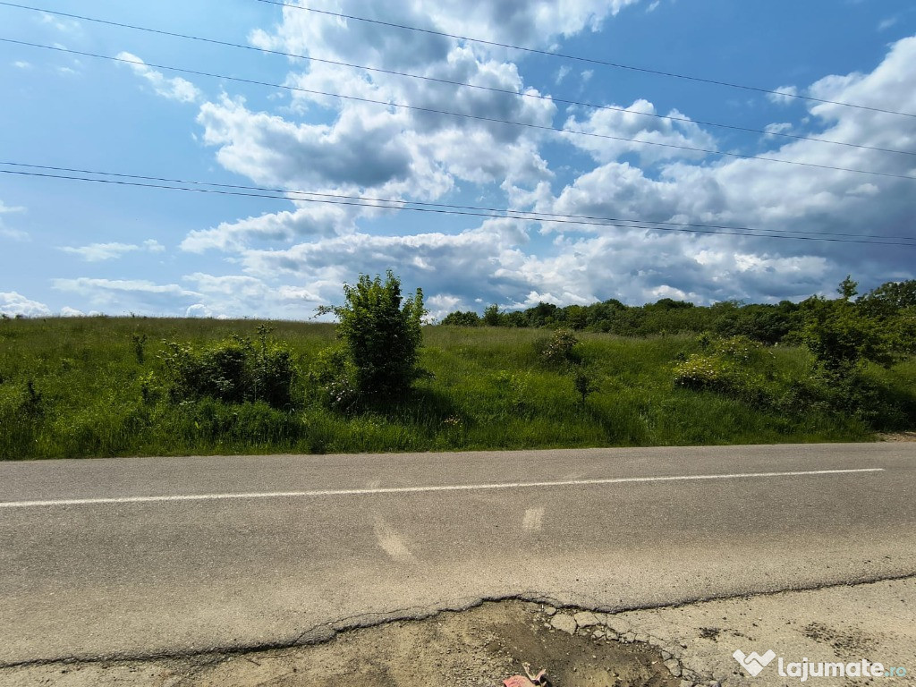 Teren 4.980 mp în Stubeiu, jud. Prahova