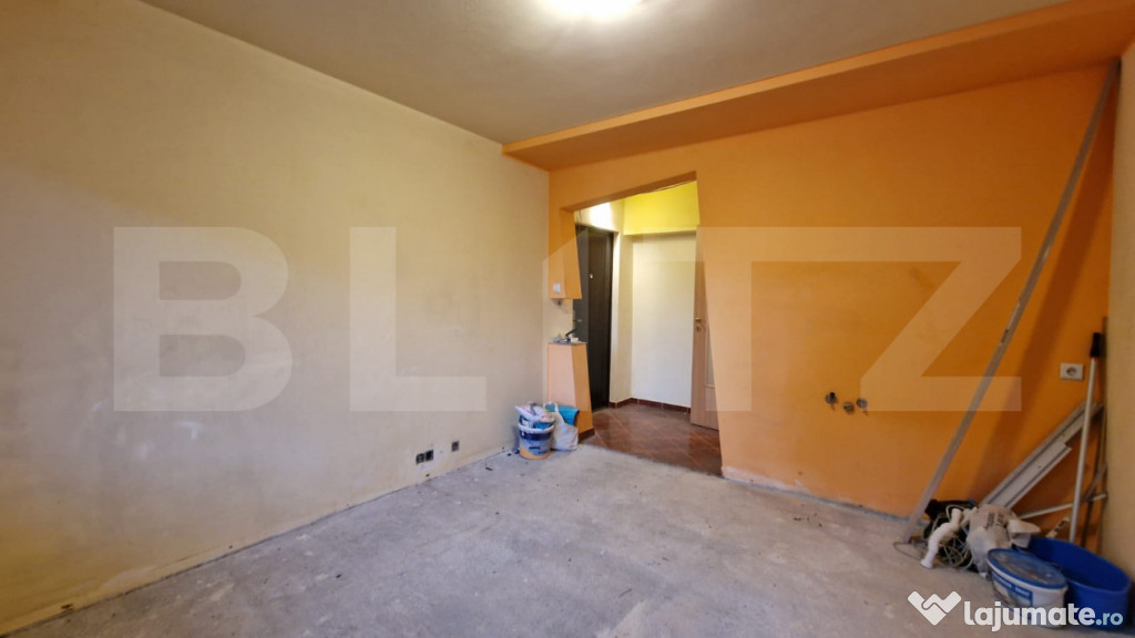 Garsoniera, zona Lipovei