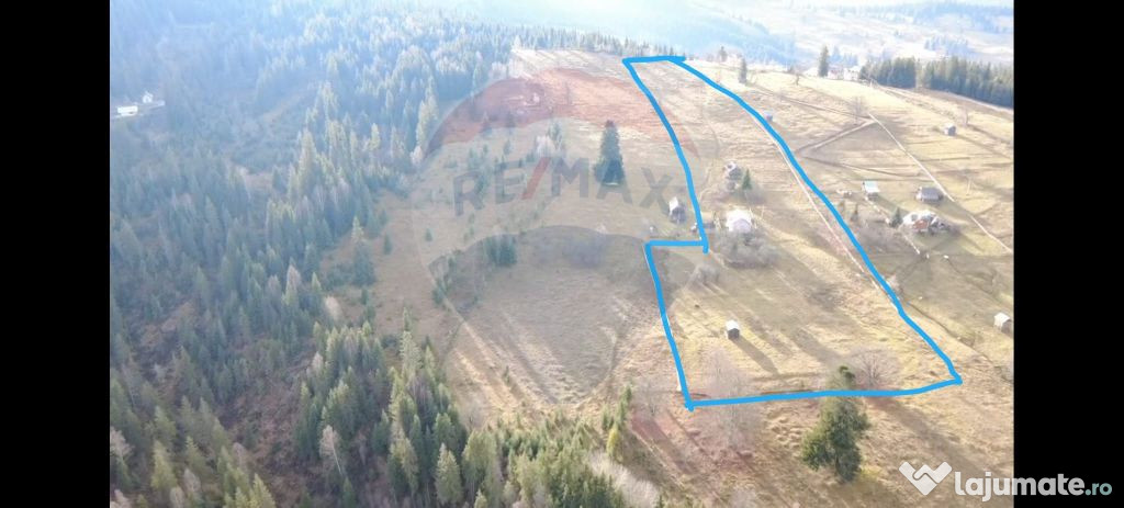 Teren INTRAVILAN 23.238m.p. Dorna-Arini / Cozănești