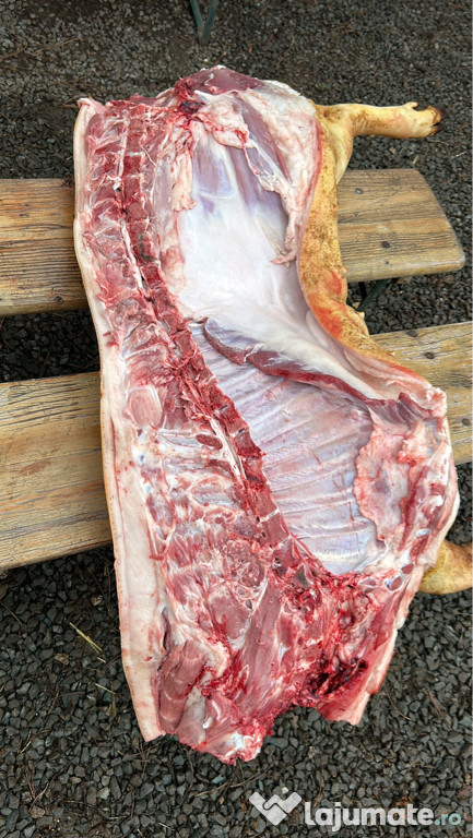 Carcasa de porc crescut natural