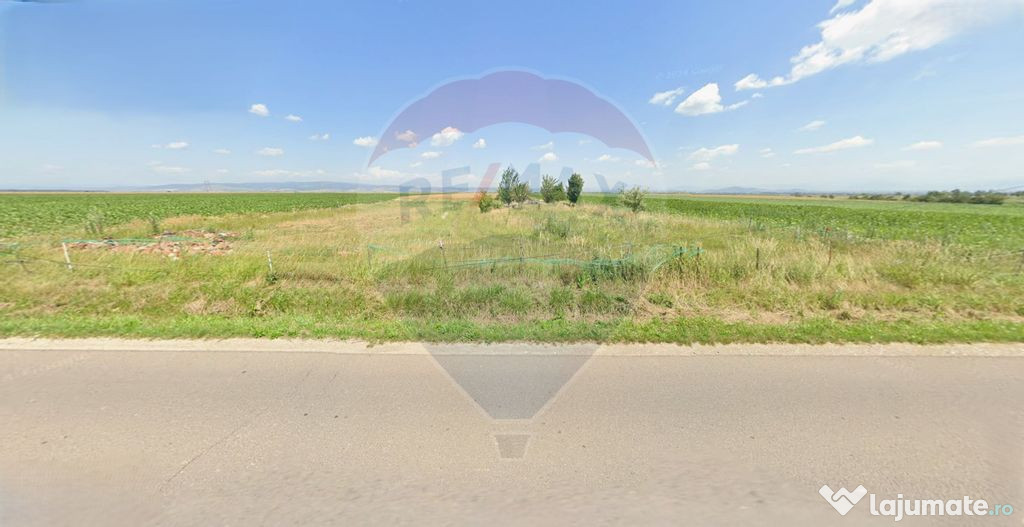 Teren extravilan arabil de vânzare – Satul Nou, comuna...