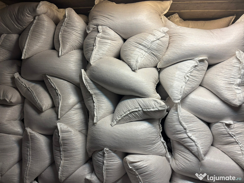 Porumb, ambalat la sac de 40 kg