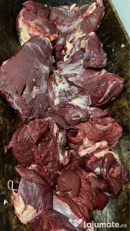 Carne de struț proaspătă