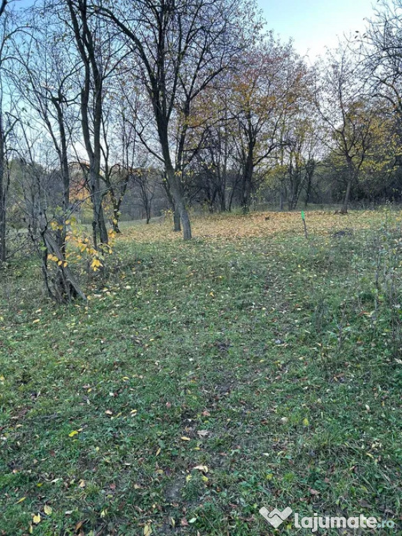 Teren intravilan 2.050 mp – Comuna Izvoarele, județul Pra