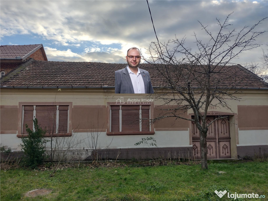 Bogodint, Casa 440mp cu 4 Hectare Teren, Pret Negociabil