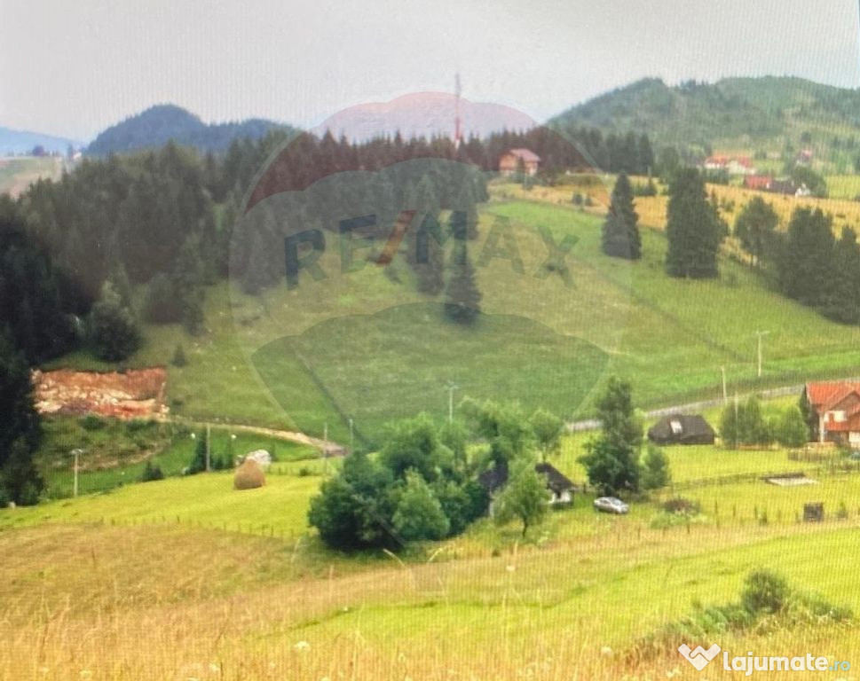 Teren de vis în Fundata 1934mp sau 3868mp, la înălțim...