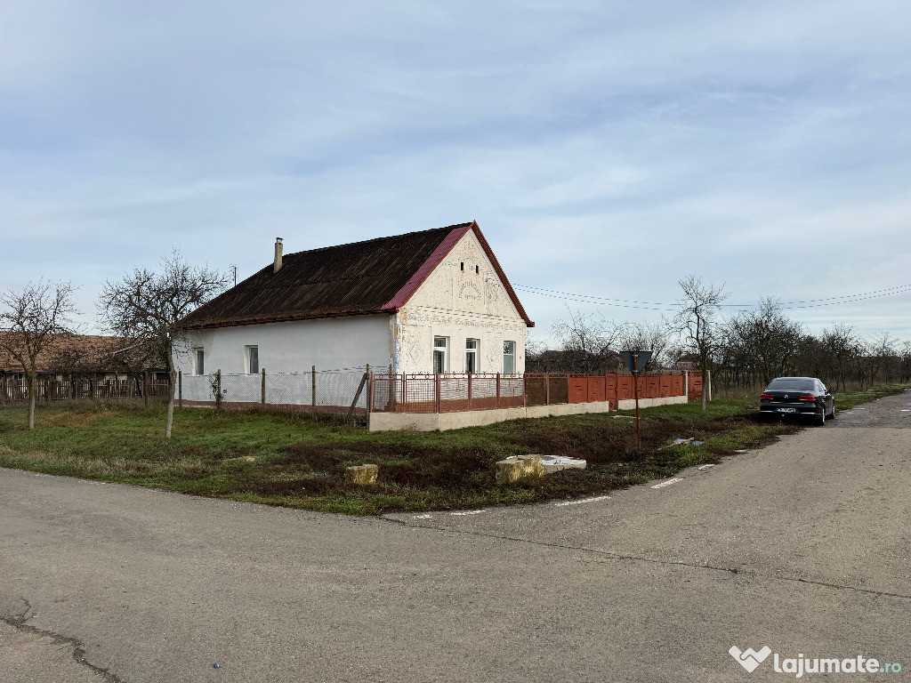 Casa în Firiteaz, 24 km de Arad, 2787 mp