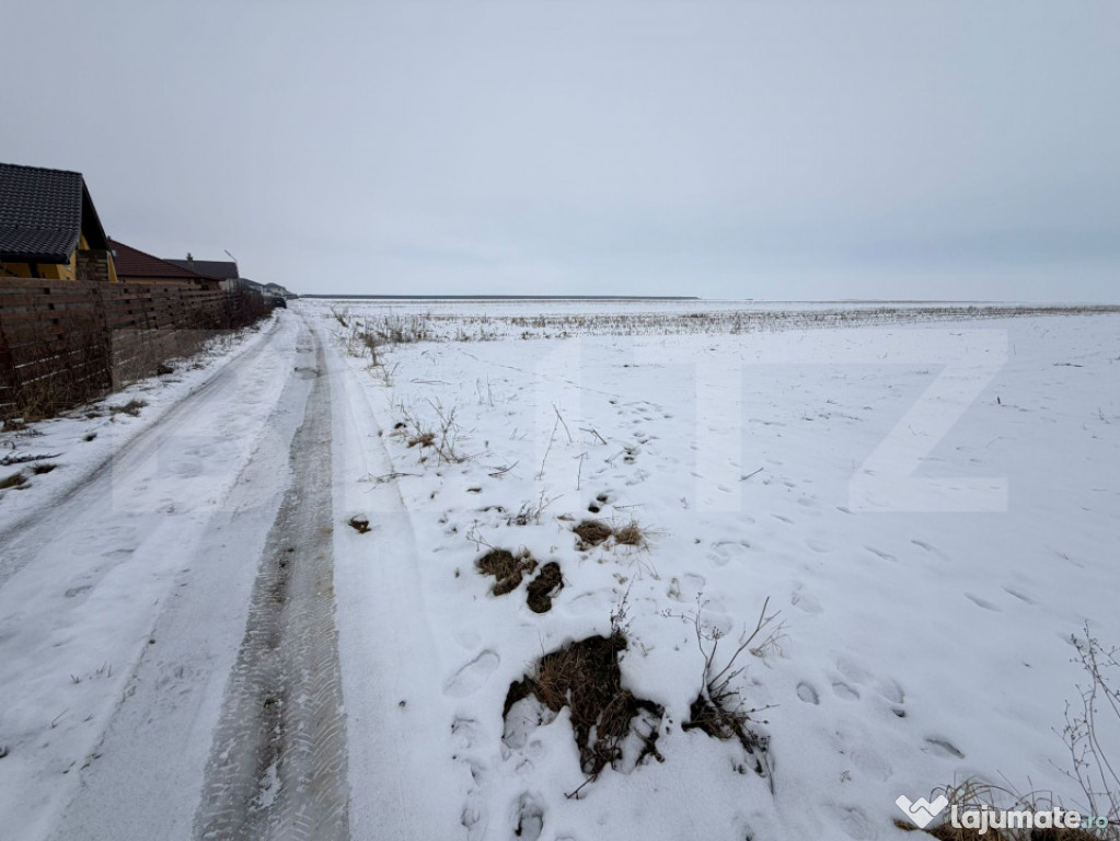 SE VINDE TEREN IN CARTIER IZVOR, din Tarlungeni ,9000mp 1050
