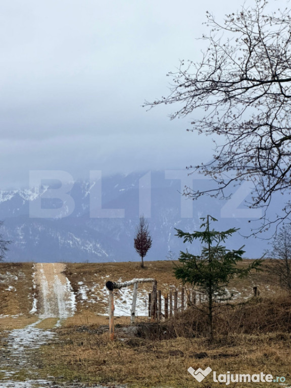 Teren în suprafață de 80.000 mp, situat în Glăjerie –