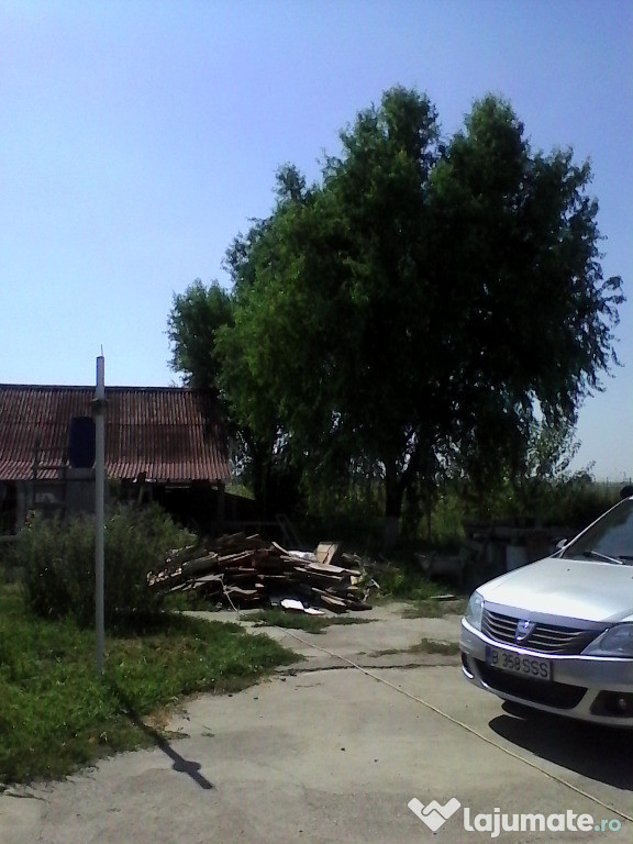 Teren extravilan Gradinari Giurgiu Zorile 7000mp