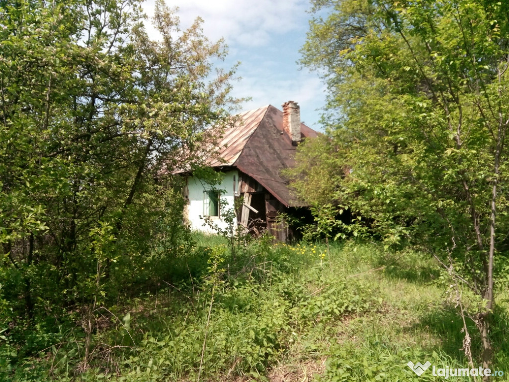 Casa batraneasca comuna Cocu /Arges,sat Richitele de Sus