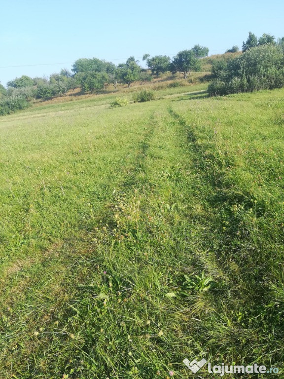 6 arii teren la Rusu Bargaului