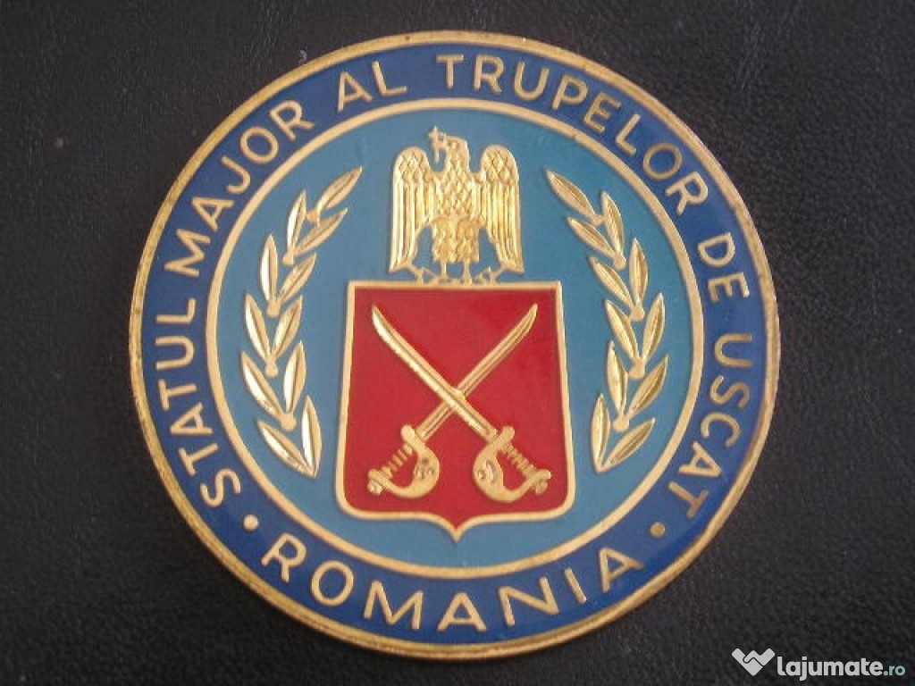 Efigie militara policroma - Armata romana