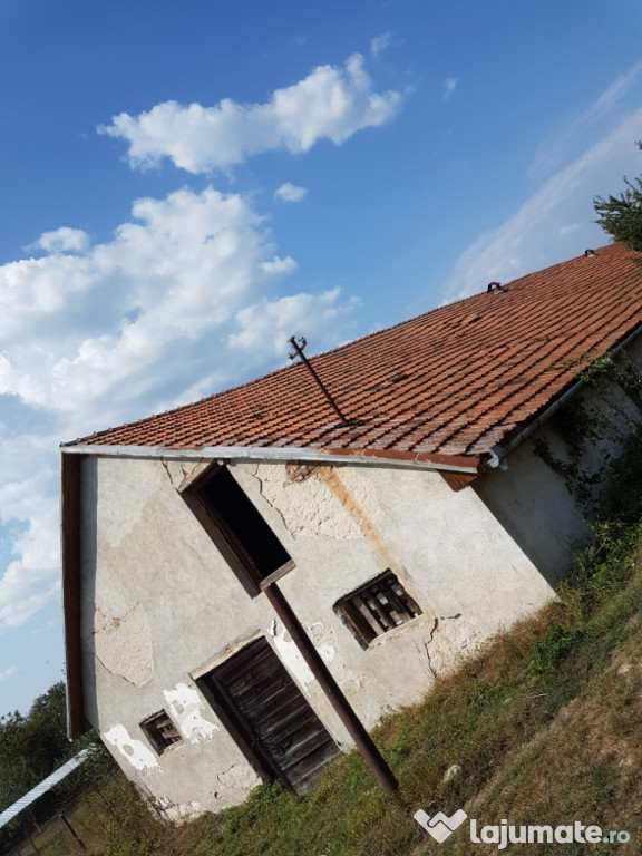 Hala/Grajd de 600mp Bampotop