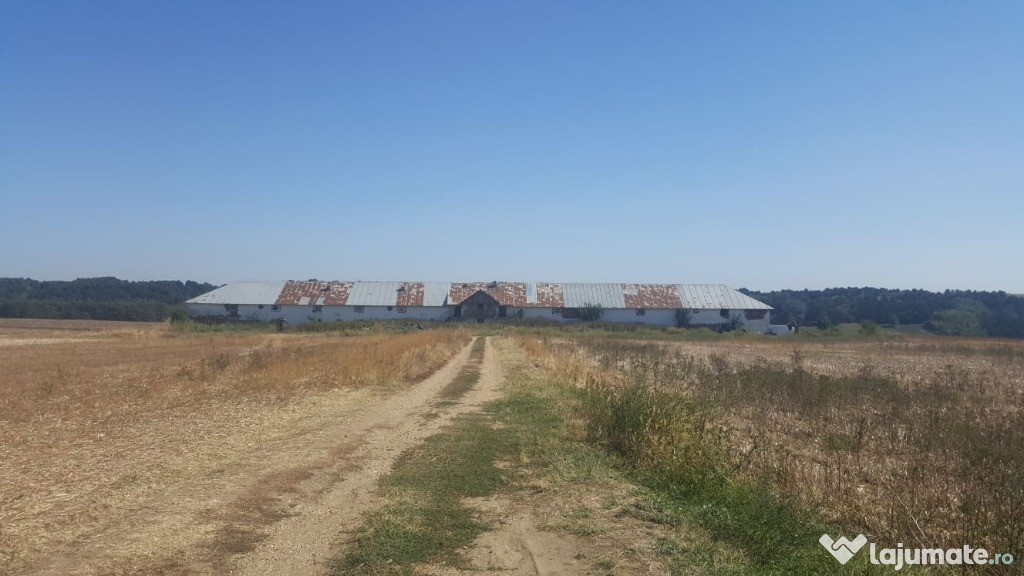 Hala/puielnita 2000mp