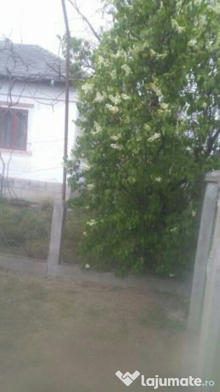 Gospodarie com Stolnici jud AG + 1ha padure stejar